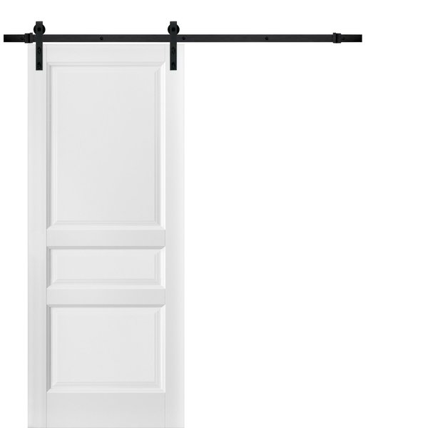 Sartodoors Barn Interior Door, 24" x 80", White LUCIA31BD-B-BEM-24